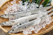 【1匹1万円】サンマ初水揚げは24匹だけ 過去最高の1キロ6万円超えに