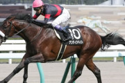 【競馬予想】[1]第59回 アルゼンチン共和国杯(G2）/2021