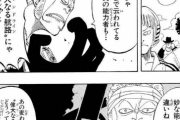 ワンピースのミホークって本当に悪魔の実の能力者なのか?