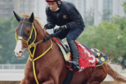 【競馬】武豊、５３歳でスマホデビュー「アプリの入れ方が訳分からんわ」　遠征先で必須のため購入