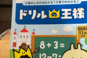 【朗報】職歴なし中卒ワイ、レジ打ちのお姉さんから計算ドリルを渡される