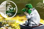 「盆栽」と動物の「サイ」が合体して「盆サイ」に！ガチャフィギュアになって登場！
