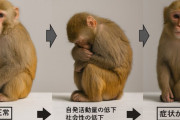 東北大学さん、世界で初めて磁場による脳刺激でサルを人工的に「うつ病」にすることに成功してしまう。