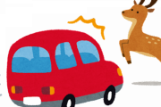 【悲報】ワイ、鹿を轢いてしまい車が大破する・・・