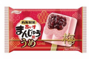 年金受給者が選ぶ大好きなアイスクリームランキング2020！