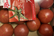 ワイ上級トマトを買う！！！