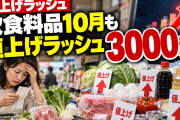 【悲報】10月の飲食料品の値上げがエグ過ぎる。なんと3,000品目超！
