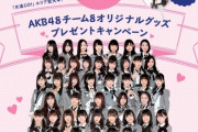 【朗報】チーム8×トヨタレンタカーのキャンペーンｷﾀ━━━━(ﾟ∀ﾟ)━━━━!!