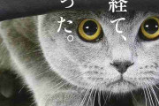 猫が登場する物語おすすめ
