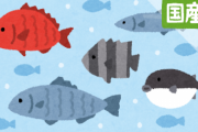 バカ「この魚は国産だから美味いな！！！」←その魚、海外で産まれて日本に流れ着いただけですが