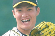 阪神・西純矢が先発　フェニックスリーグ最終戦