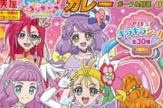 【急募】店員さんに「こいつキモｗ」って思われずにプリキュアカレーを購入する方法