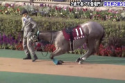 【動画】山口ステーブル「リフレイムはパドックで寝ようとしていた」