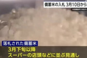 政府が放出する備蓄米の銘柄は｢はえぬき｣｢ひとめぼれ｣｢あきたこまち｣など41品種 3月下旬以降スーパーに並ぶ予定