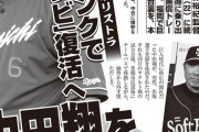 【実話】スクープ！中日が中田翔をソフトバンクに無償トレードか？！