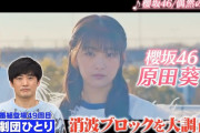 【櫻坂46】原田葵、タモリ倶楽部で大活躍！！！ｷﾀ━━━━(ﾟ∀ﾟ)━━━━!!