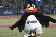 ヤクルトスワローズファン集まれ
