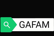 【画像】メディア「GAFAM！」←こう呼ぶせいでどの企業も似たようなもんと勘違いしてる奴が多いという事実‥‥お前らはそれぞれの収益構造理解してるよな？