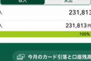 【悲報】ワイ底辺大卒、うんち給料の入金を確認😭（※画像あり）