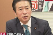 【中華IR汚職】秋元に続き勝沼に白須賀とボロボロ出てくる自民党 これアベちゃんどーすんの？