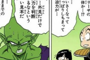 【ドラゴンボール】フリーザ戦の「ピッコロ」ってよくバカにされてるけどｗｗｗ