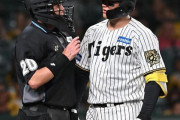 阪神森下が球審白井と一触即発　判定不服であわや　距離詰める２人をコーチが仲裁
