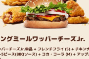 【画像】「バーガーキング」のお値段、限界突破ｗｗｗｗ