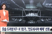韓国人「韓国がインドネシアを排除！」韓国型戦闘機KF-Xをインドネシアを排除して独自開発へ！→「信用出来ない国と協力するな」　韓国の反応