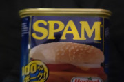 初めてSPAM買ったんだが これ美味いんか？