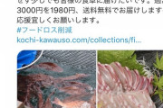 【画像】鯛屋「鯛が10万匹余ってます。33%オフするので買ってください」←早速正体がバレる