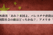 中国外務省「あれれ～？米国よ、パレスチナ虐殺は沈黙か？国際社会の敵はどっちかね？」アメリカ「…」