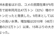 【悲報】お米、マジでめちゃくちゃ余る…民間在庫で2年ぶりの高水準