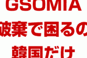 日本政府「GSOMIA破棄、困るのは韓国だけだ」「日米だけで情報交換するわ」　　さようなら…