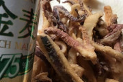 ワイ昼間から発泡酒を飲みながらイカの唐揚げを食べる