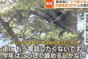 女さん「クマは母親一人で子育てするの！動物は癒やしなの！殺さないで！私は都市部住みだけど！」