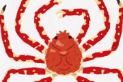 強いハサミを持つ甲殻類ランキングトップ10ｗｗｗｗｗｗｗｗｗｗｗｗｗ