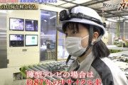 【画像】顔めっっちゃ可愛いのに工場で働く女の正体ｗ