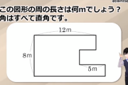 本当に難解な図形問題、答えがわからん！