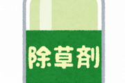 危険？家の裏の敷地が雑草や草木で埋め尽くされているのでキレイにしたいんだけど…