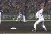 プロ野球のコーチャーズボックスとかいう無意味な線