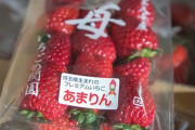 海外「日本のイチゴと普通のイチゴって違いあんの？ 高価なだけ？」綺麗にパッケージングされた日本のいちごを食べた外国人