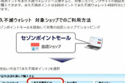 クレディセゾンの「永久不滅ウォレット」終了。「永久不滅のウォレットという主張ではない」