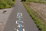 【！？】グーグルカーさん、ウサギを空へ飛ばしてしまうｗｗｗｗ