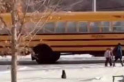 【ネコ】 子供たちがスクールバスに乗って学校へ行く。いってらっしゃい！ → 猫は毎朝、こうします…