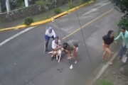 海外「【閲覧注意】 犬に噛まれた人を助ける時はチョークホールドしろ」