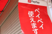 ホンダで車を買うんだけど60万円分はクレカかPayPayで払えるらしいｗｗｗｗｗ