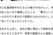 【悲報】新入社員さん、電子レンジに次々とメールが来てむせび泣く