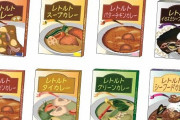 【No.1】人生でレトルトカレー3000種類食べてきたワイが選ぶベストレトルトカレーがこれ！！！
