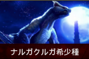 【攻略】ナルガクルガ希少種、強すぎて草