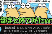【画像】なんJ民、愛くるしい姿がYouTubeで大人気になるｗｗｗｗ